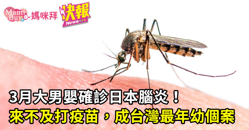 3月大男嬰確診日本腦炎