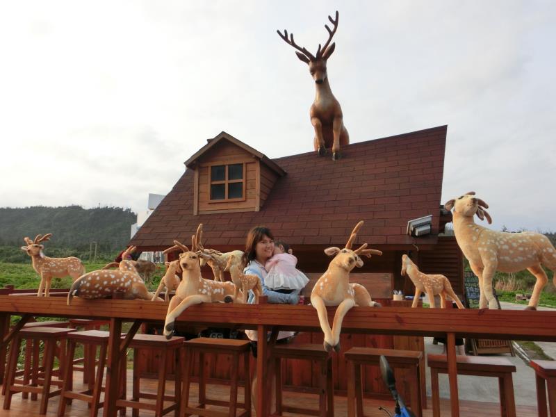 在夢幻小屋裡跟梅花鹿的近距離接觸綠島 豆芽媽 媽咪拜mamibuy