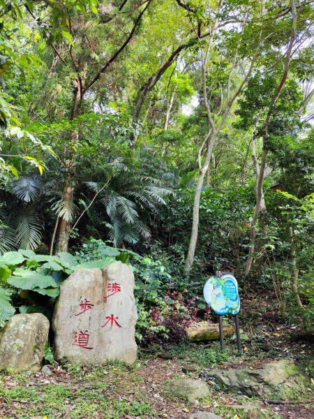 【南投景點】惠蓀林場木製攀爬架、攀樹活動，超棒大草原野餐