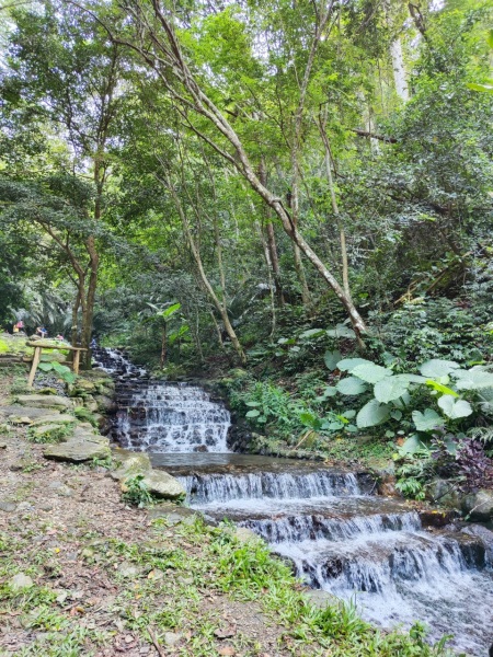 【南投景點】惠蓀林場木製攀爬架、攀樹活動，超棒大草原野餐