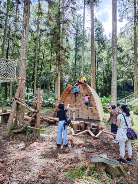 【南投景點】惠蓀林場木製攀爬架、攀樹活動，超棒大草原野餐