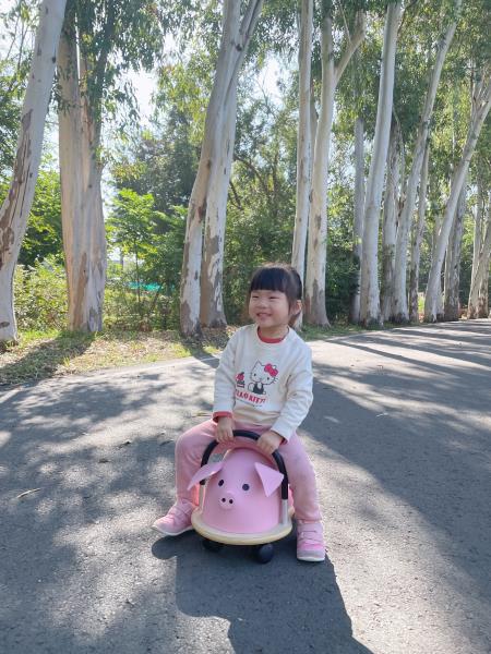 澳洲WheelyBug扭扭滑輪車 陪伴孩子趣味成長 室內、戶