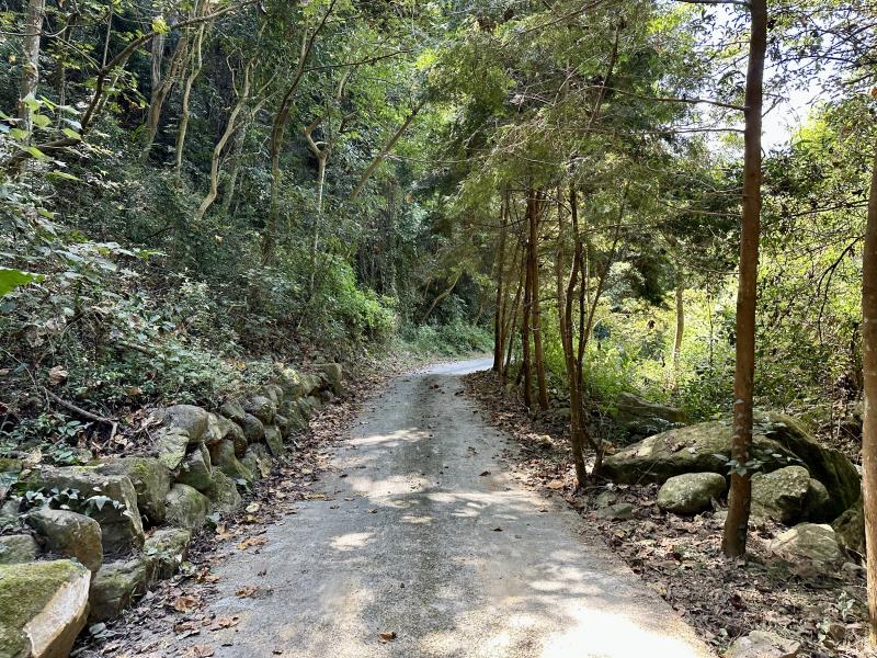 【Nanusa納奴薩莊園】原流新創聚落｜泰雅部落體驗一日遊，