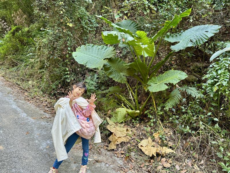 【Nanusa納奴薩莊園】原流新創聚落｜泰雅部落體驗一日遊，