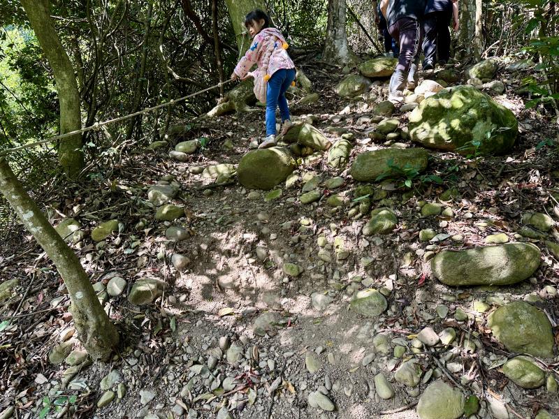 【Nanusa納奴薩莊園】原流新創聚落｜泰雅部落體驗一日遊，