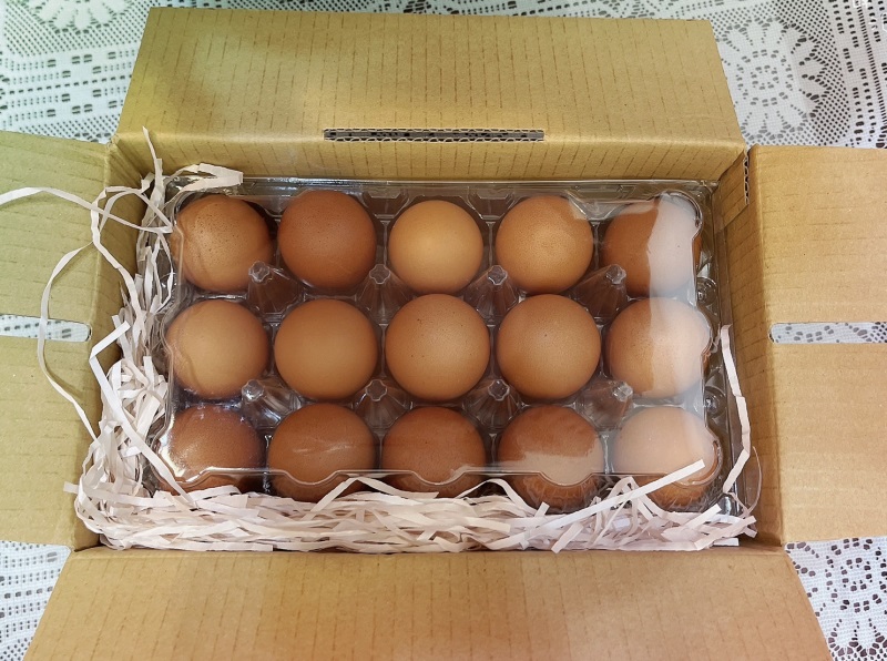 健康純淨璞食蛋 每顆蛋都是營養的承諾