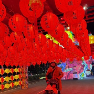 ｜親子景點｜2025台灣燈會在桃園