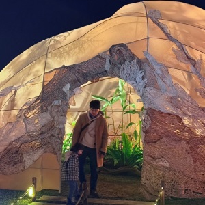 ｜親子景點｜2025台灣燈會在桃園