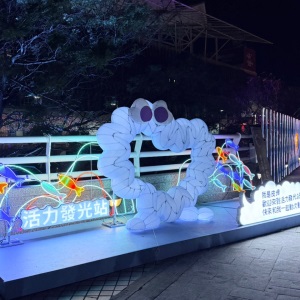 ｜親子景點｜2025台灣燈會在桃園