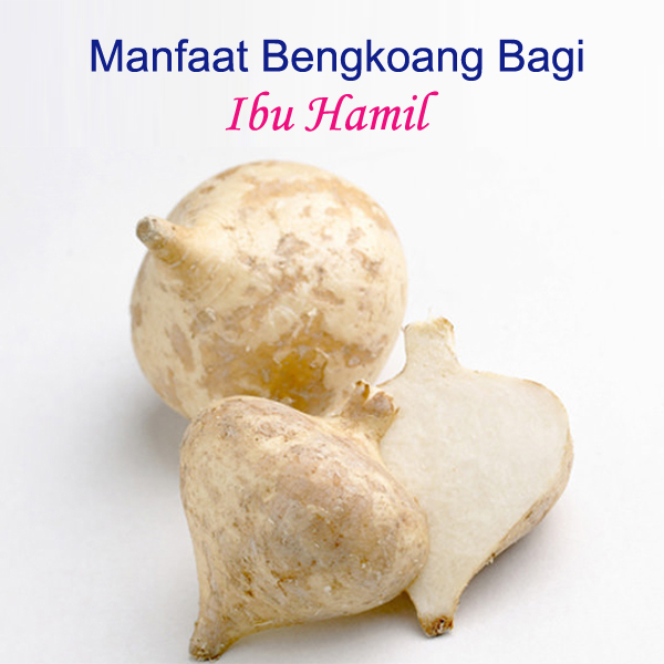 Manfaat Bengkoang Bagi Ibu Hamil Mamitalk Mamibuy